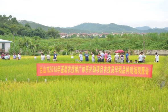 韶山市农业农村局最新项目，推动农业现代化，助力乡村振兴