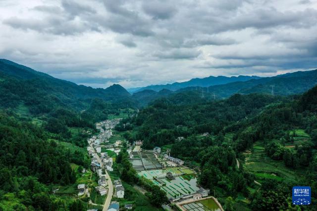 彭水苗族土家族自治县住建局最新项目概览