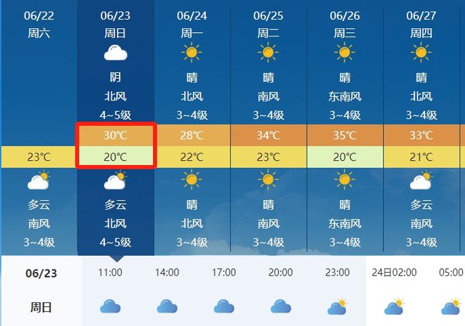 2024年12月26日 第28页