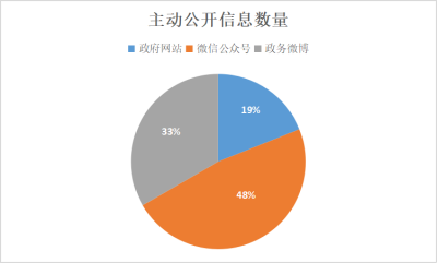 新河县数据和政务服务局发展规划探讨与展望