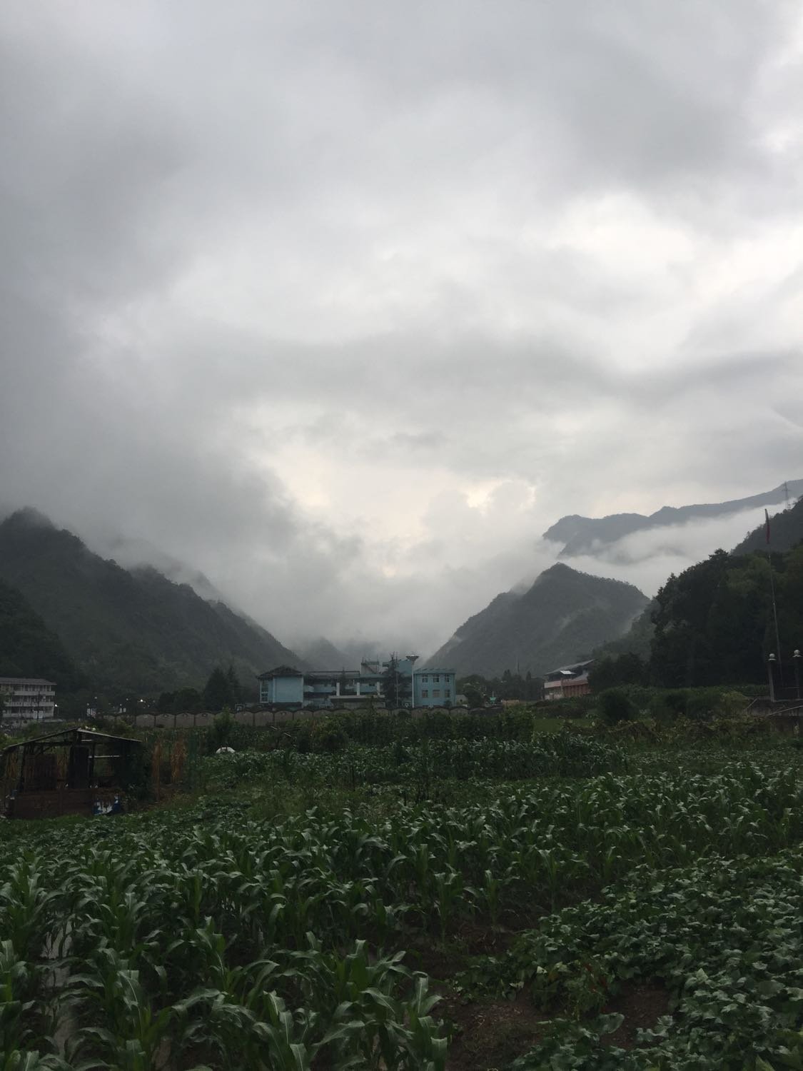 陵江村天气预报更新通知