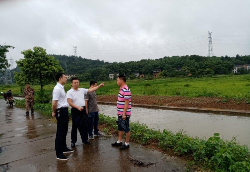 雨母山乡新闻速递，最新报道汇总