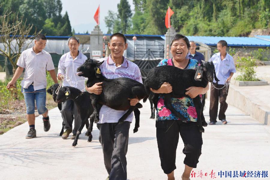 蓬安县托养福利事业单位人事调整，开启福利事业新篇章