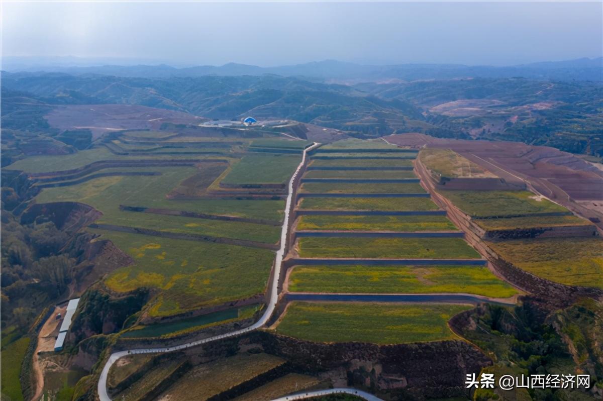 神头乡最新新闻报道