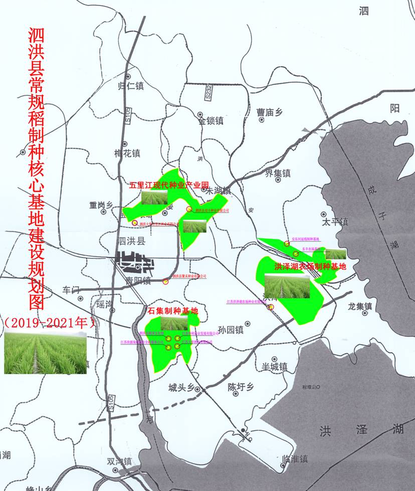 泗洪县计划生育委员会最新发展规划