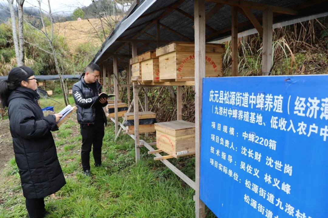 松源街道交通新闻更新，最新动态报道