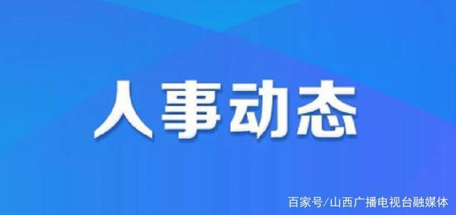 庐阳区人力资源和社会保障局人事任命最新解析