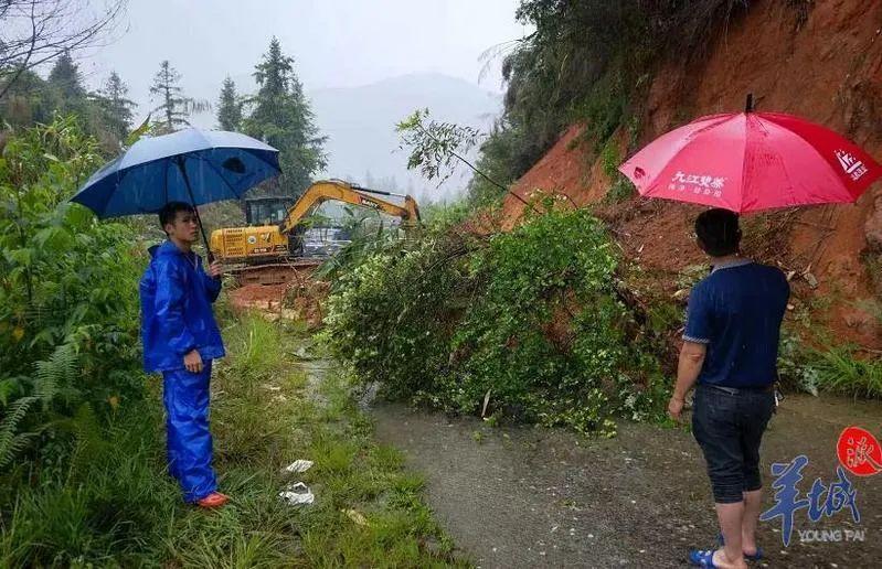 凤岗街道天气预报更新通知