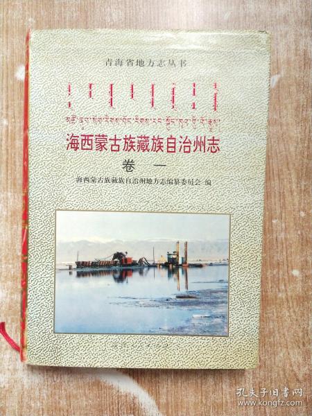 海西蒙古族藏族自治州档案局最新发展规划深度研究