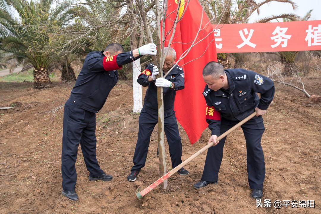 绵阳市公安局最新发展规划，构建安全城市的战略蓝图