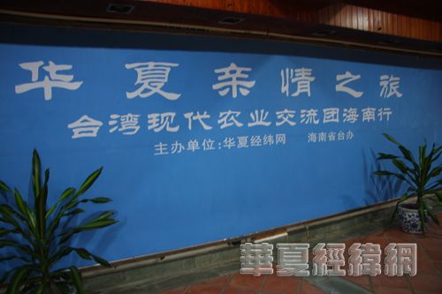 廉江市人民政府办公室领导团队全新亮相，未来工作展望与蓝图揭秘