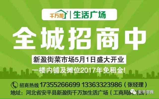 石鼓区人力资源和社会保障局招聘最新信息概览