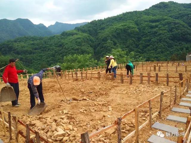 宝坛乡新项目，乡村发展的璀璨明珠引领前行