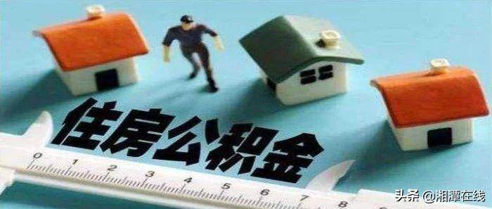 湘潭县数据和政务服务局项目最新进展报告摘要